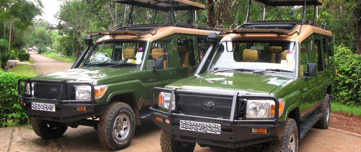 safari landcruisers 2021