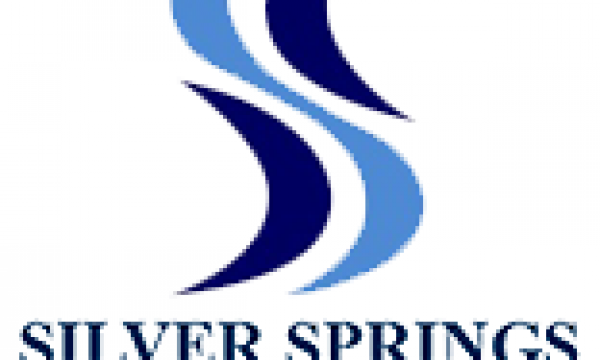 silver-logo