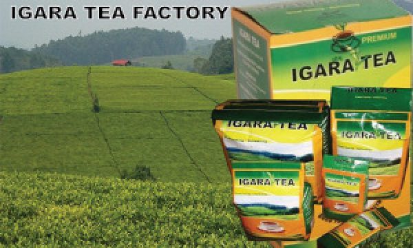 igara-tea
