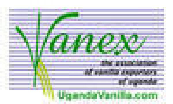 vanex