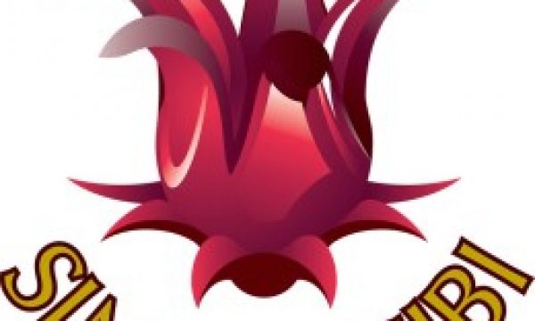 ntlogo