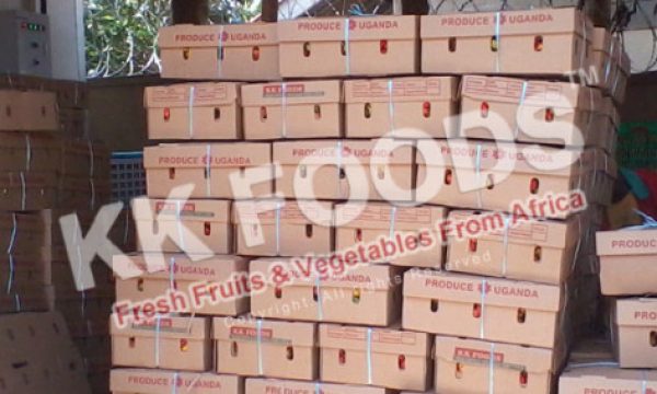 kkfoods