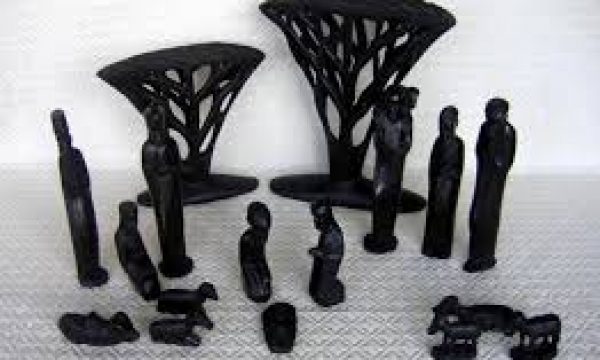 acacia-tree