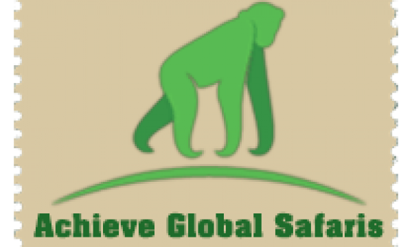 website-logo