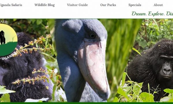 budget-safaris-uganda