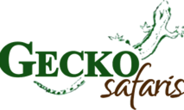 logo-gecko