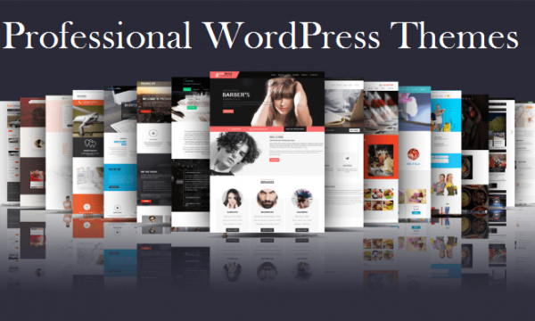 professional-WordPress-themes