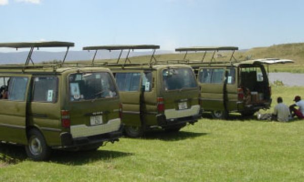 NNINZI_TOURS_AND_SAFARI_holiday_TOUR_COMPANY_UGANDA_EAST_AFRICA-wildlife___1_www.nninzitours