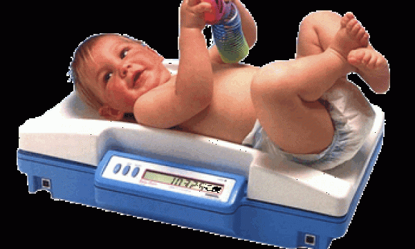 Shekel_Baby_Scale_Model_T15P