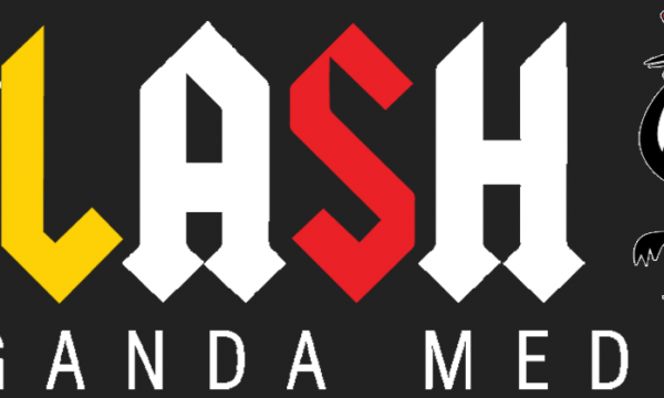 FLASH-544x180px