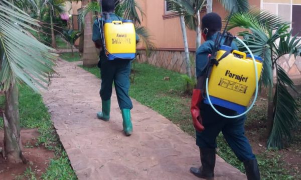 Fumigation Services