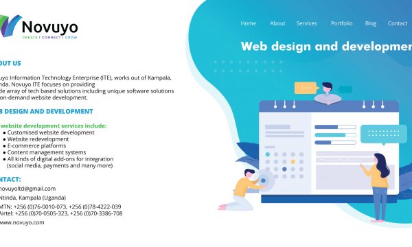 Website development